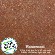 Rosewood Concrete Stain by Concrete Camouflage